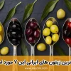 بهترین زیتون های ایرانی