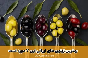 بهترین زیتون های ایرانی