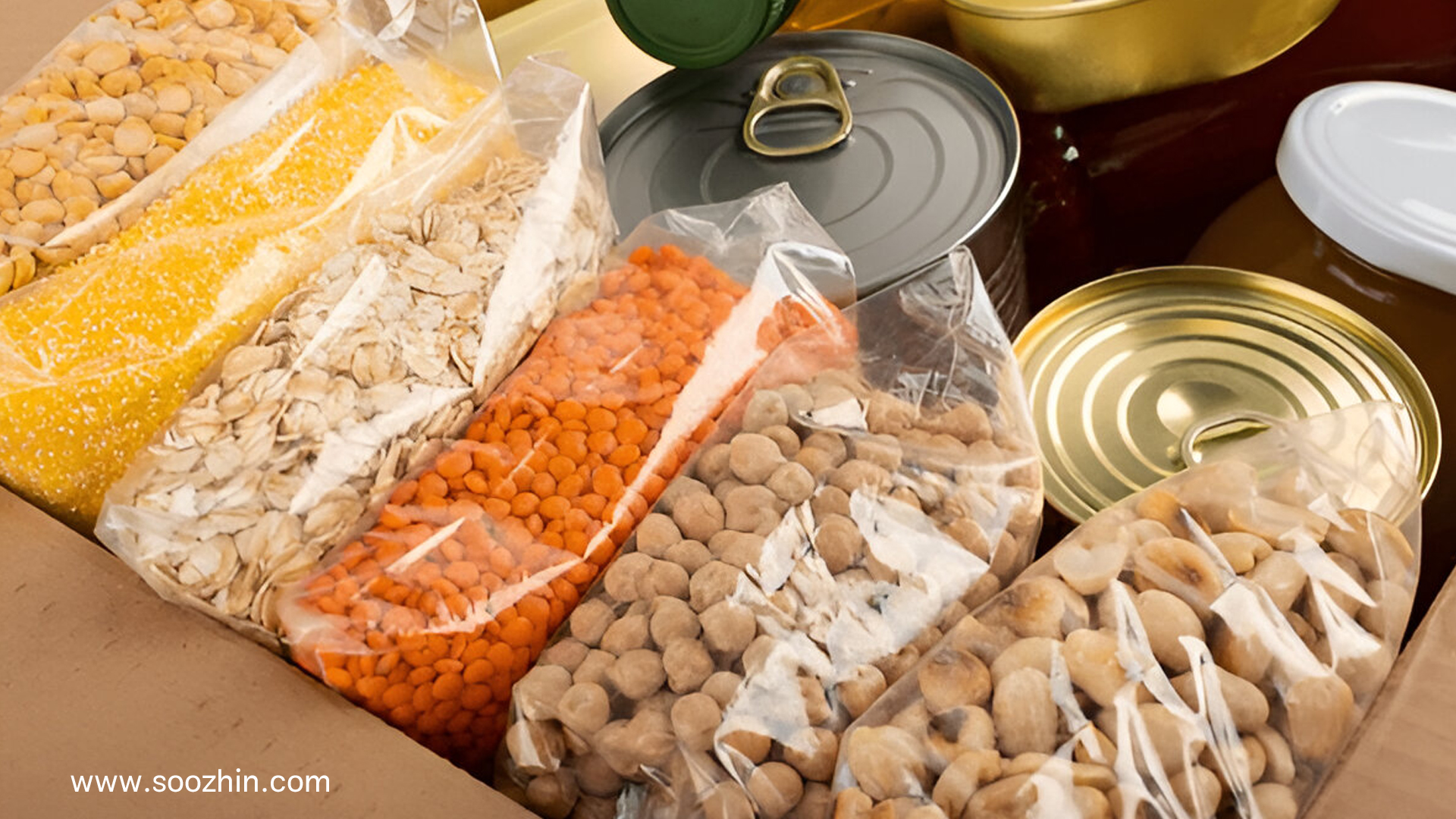 بهترین روش های نگهداری مواد غذایی