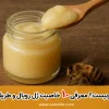Introducing 10 properties of royal jelly