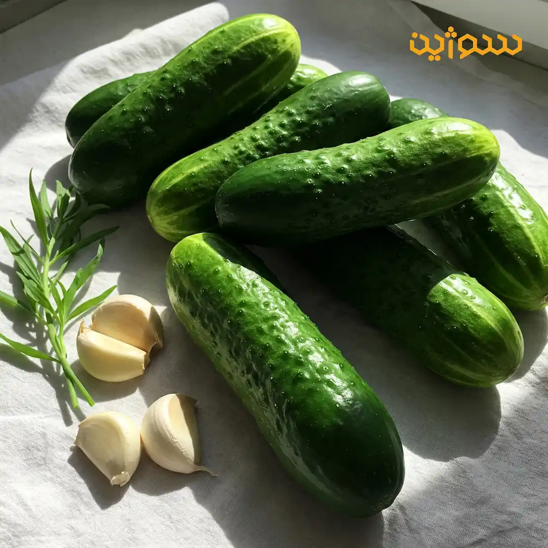 تهیه خیارشور با ماندگاری بالا