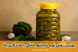 طرز تهیه خیارشور با ماندگاری بالا و طولانی در منزل؛ راز خیارشور خانگی ترد و خوشمزه!