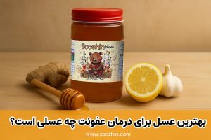 بهترین عسل برای درمان عفونت، چه عسلی است؟
