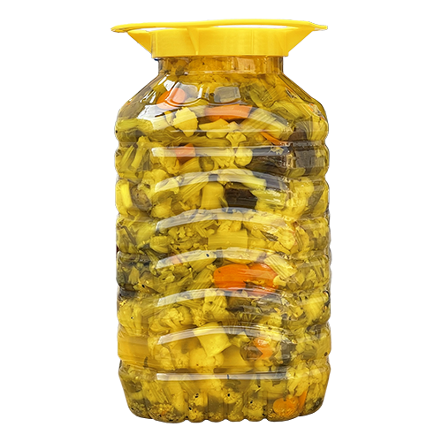ترشی