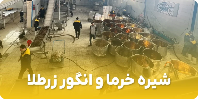 اصلی 3
