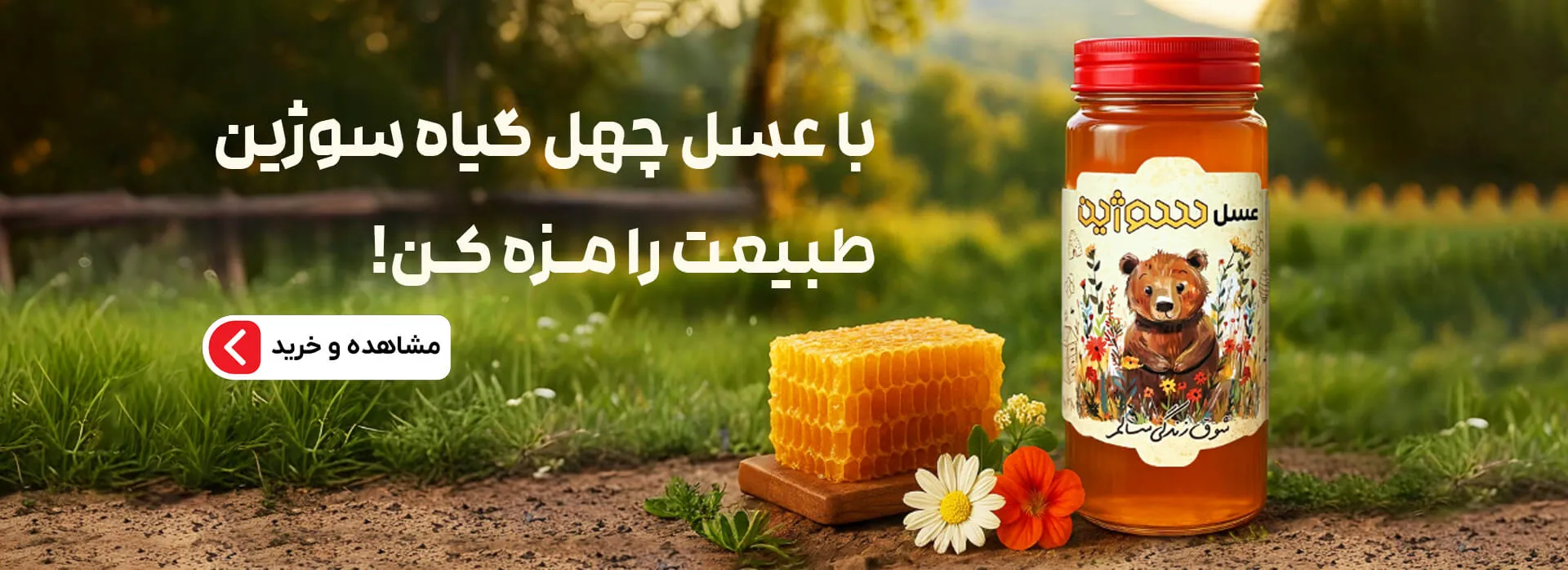 بنر 4