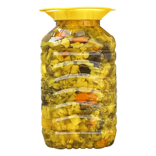ترشی