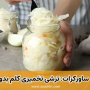 طرز تهیه ترشی تخمیری