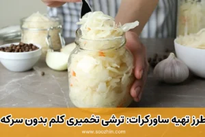 طرز تهیه ترشی تخمیری