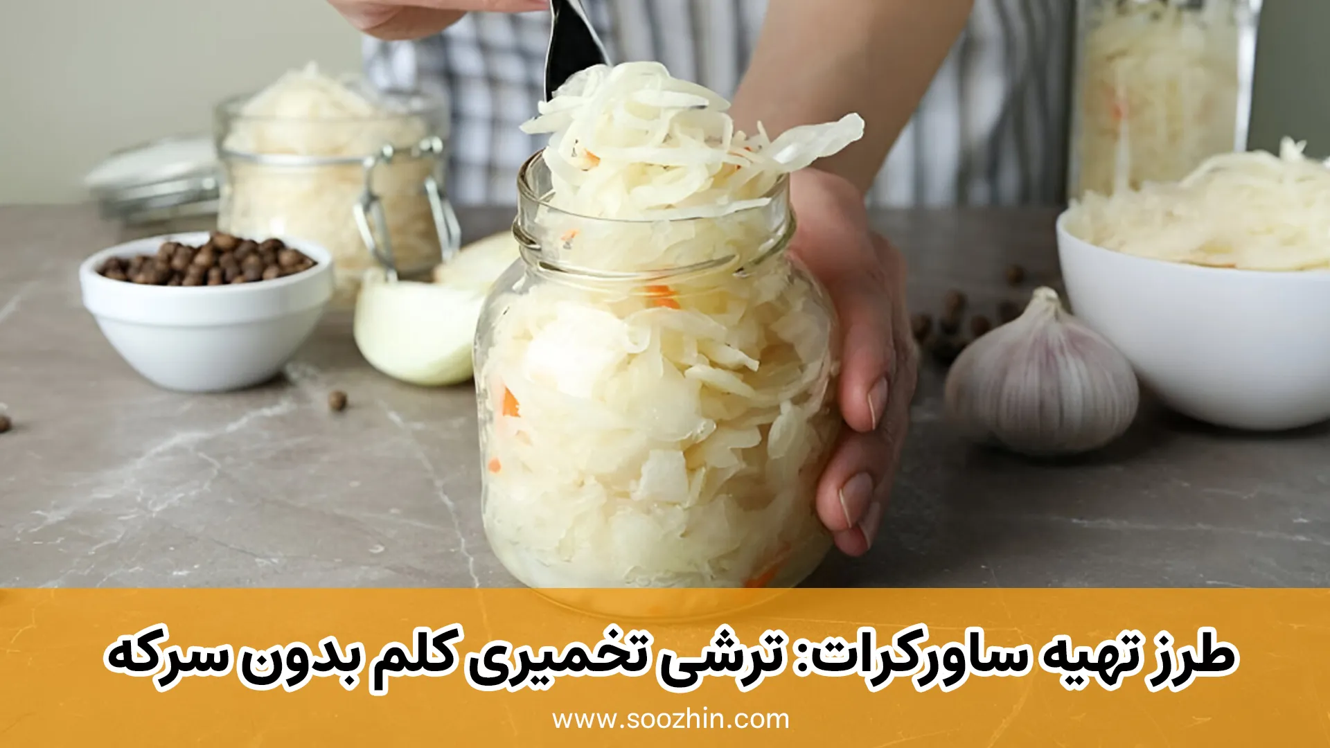 طرز تهیه ترشی تخمیری