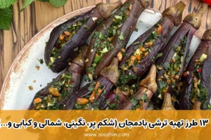 ۱۳ طرز تهیه ترشی بادمجان (شکم پر، نگینی، شمالی و کبابی و...)