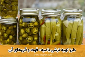 مراحل گام‌به‌گام تهیه ترشی بامیه